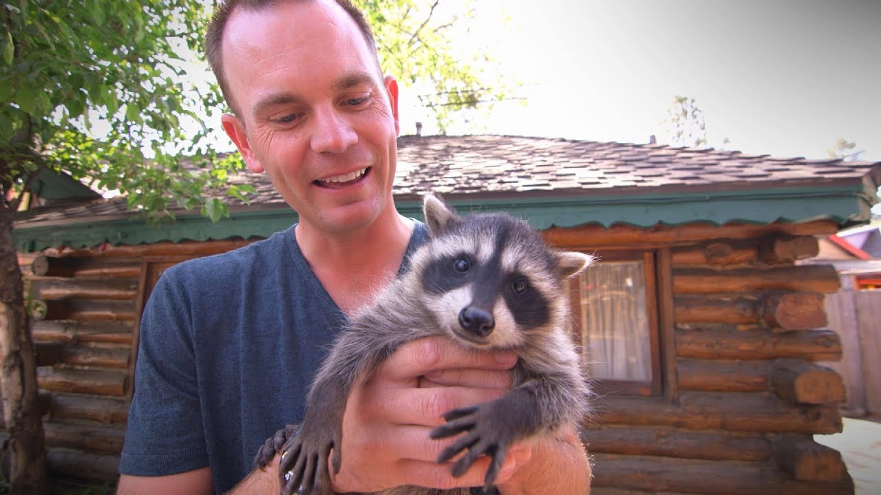 Brendan Steele makes friends with a raccoon