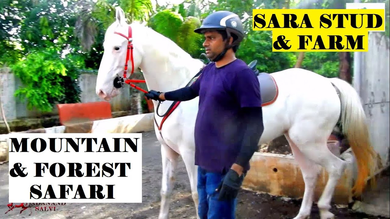 MOUNTAIN & FOREST SAFARI at SARA STUD & FARM , Bhiwandi , Maharashtra