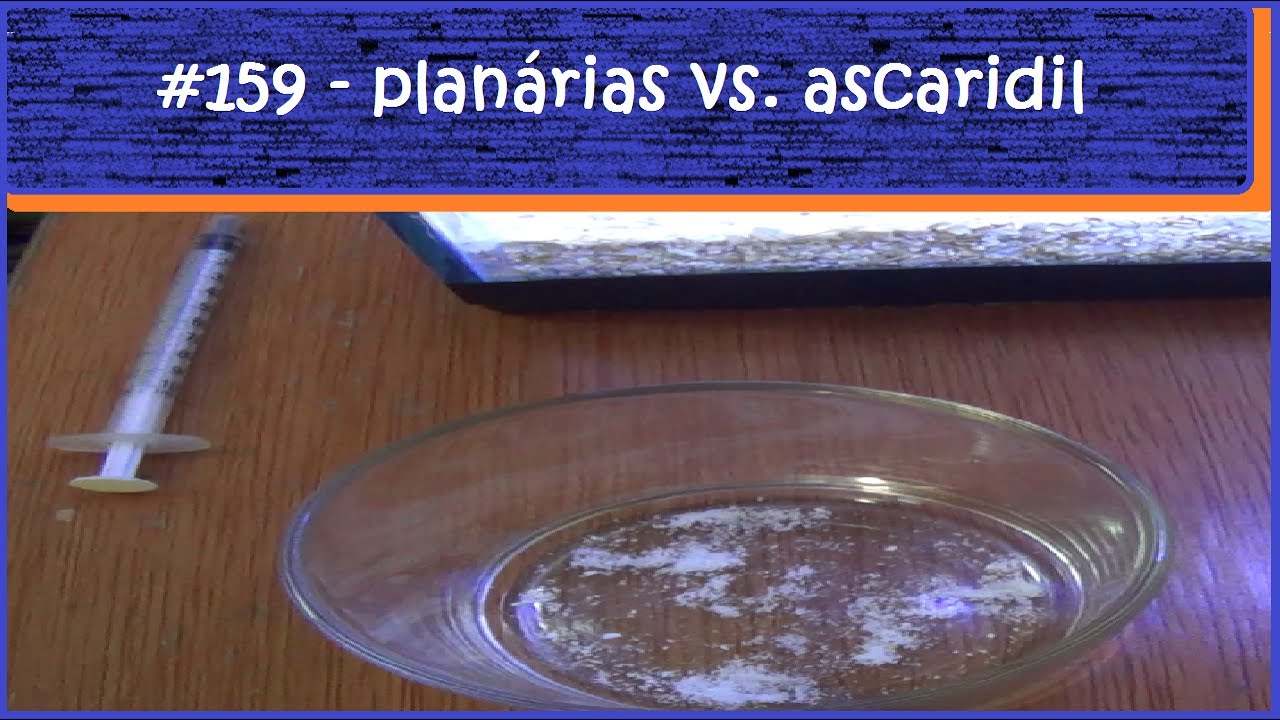 Eliminando planárias com Ascaridil