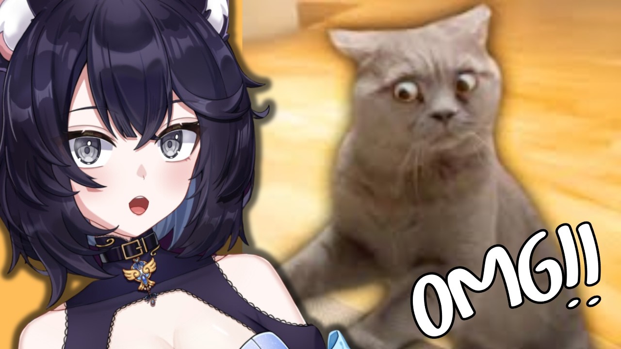 Реакция Vtuber на лучшие видео с кошками десятилетия