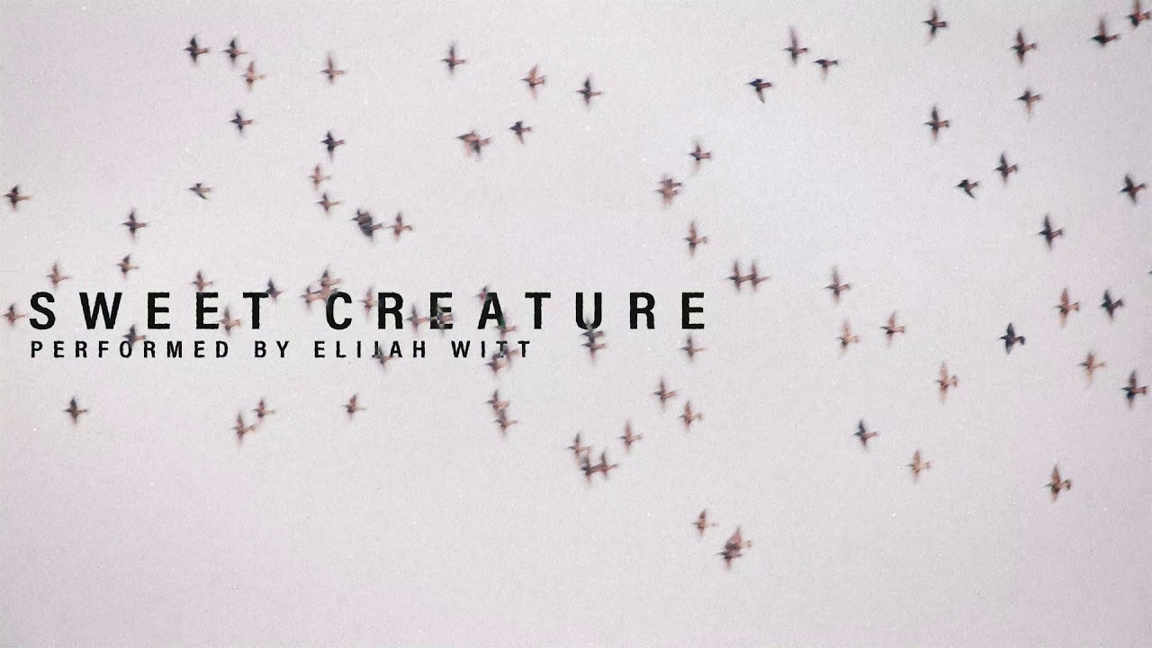 ELIJAH WITT - SWEET CREATURE COVER (originally performed by Harry Styles)