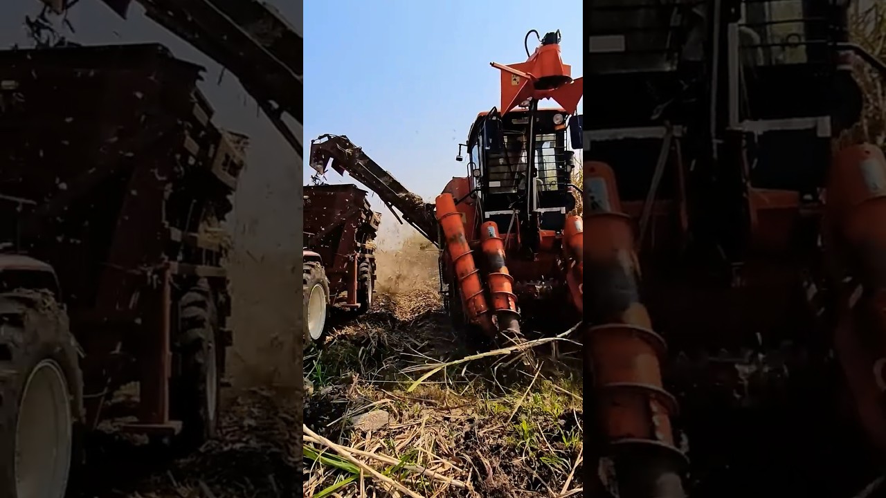 Mahindra Tractor Infielder || Tractor Harvester #tractor #farming #agriculture