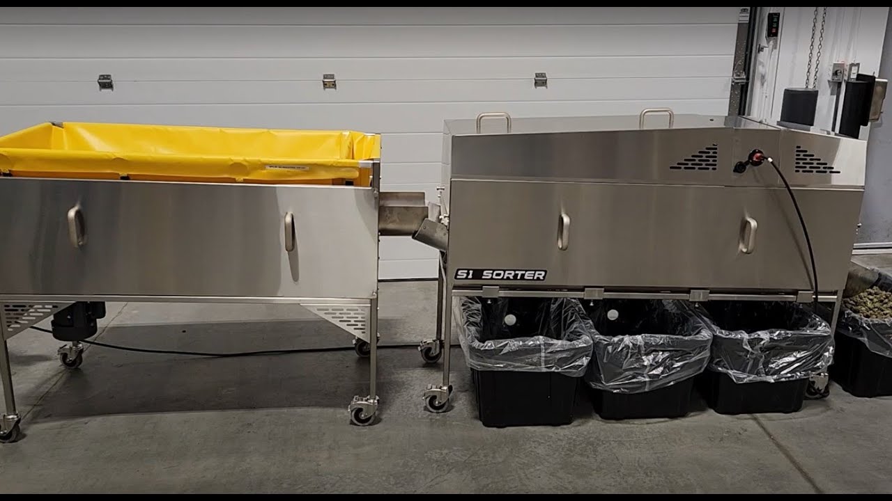Cannabis Sorting Machine with Auto Feeder