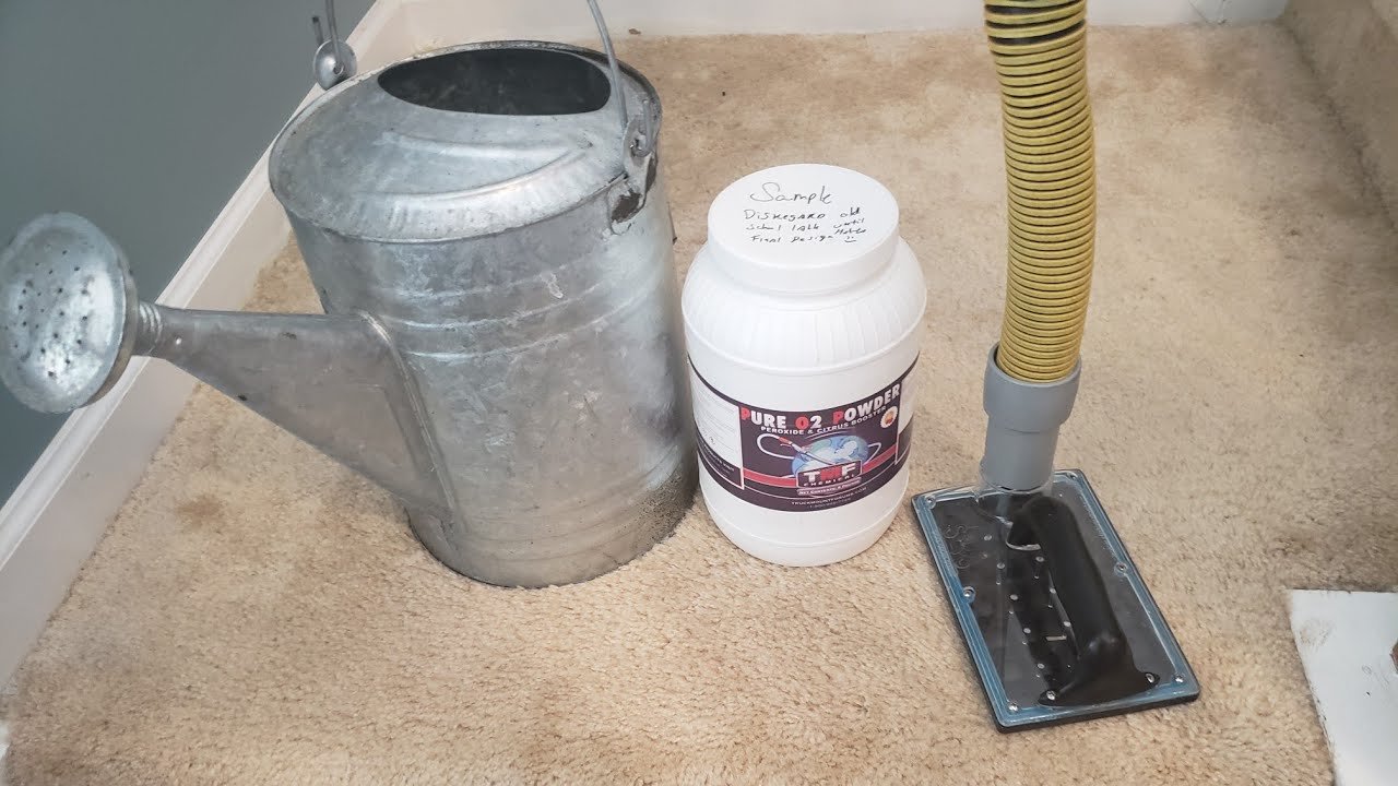 2 jobs | Removing cat urine from carpets & cleaning carpets in a vacant home