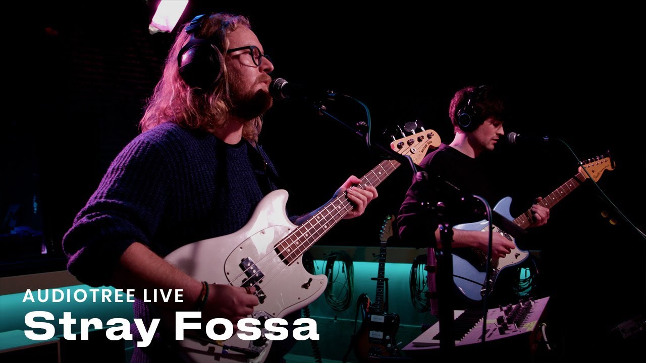 Stray Fossa - Are You Gonna Be Okay | Audiotree Live
