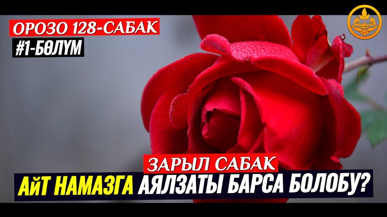 АЙТ НАМАЗГА АЯЛДАР БАРСА БОЛОБУ  1-бөлүм (зарыл сабак) ОРОЗО 128-сабак. Шейх Чубак ажы