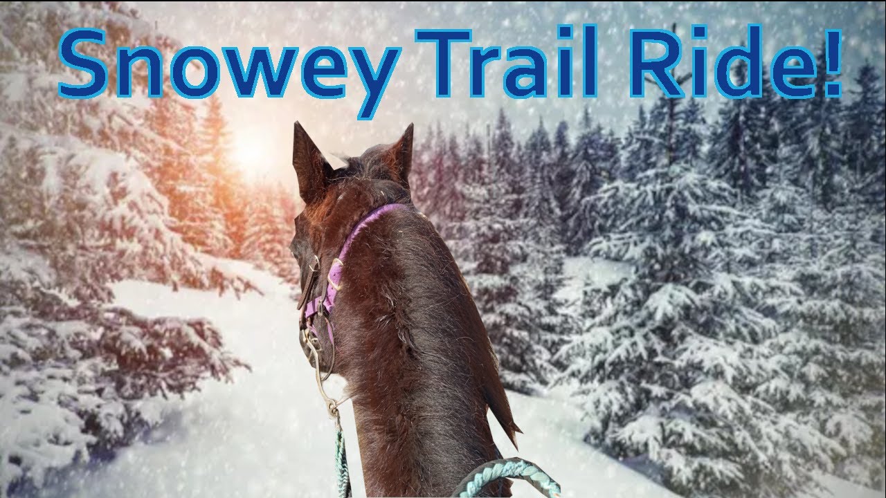 snowey trail ride with stormy