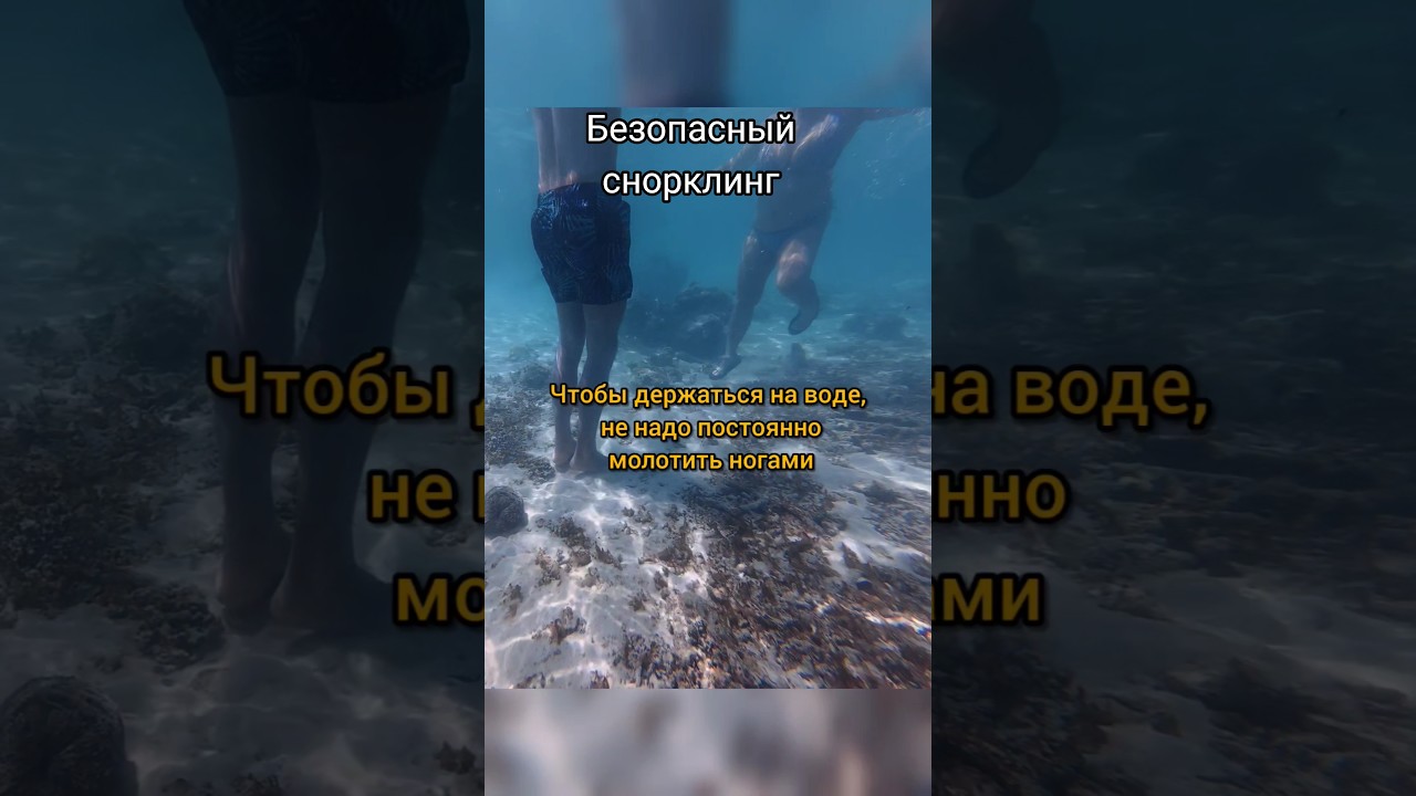 Как вести себя на снорклинге. Советы от дайвинг инструктора #дайвинг #снорклинг #таиланд