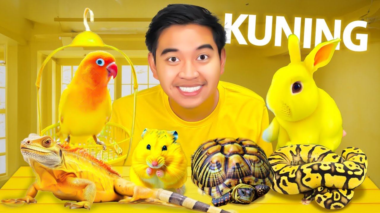 BELI SEMUA HEWAN WARNA KUNING DI PASAR HEWAN MODERN BANDUNG!
