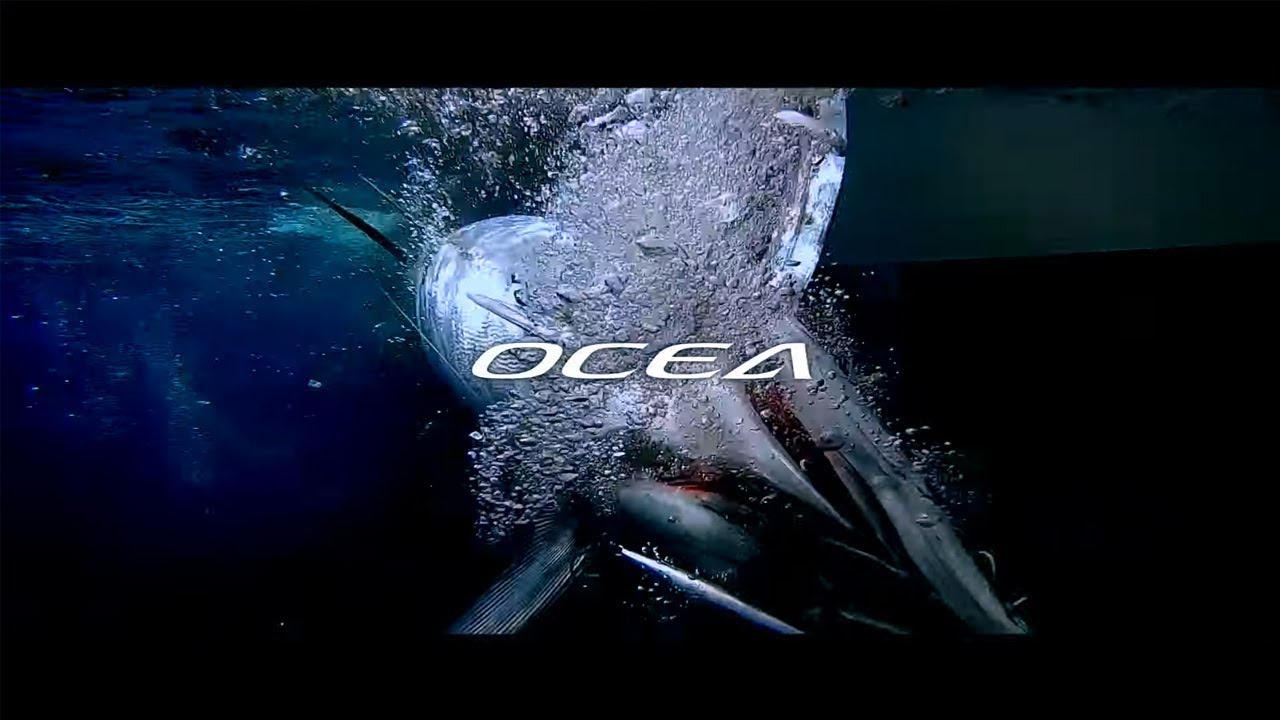 OCEA JIGGER F CUSTOM in OKINAWA