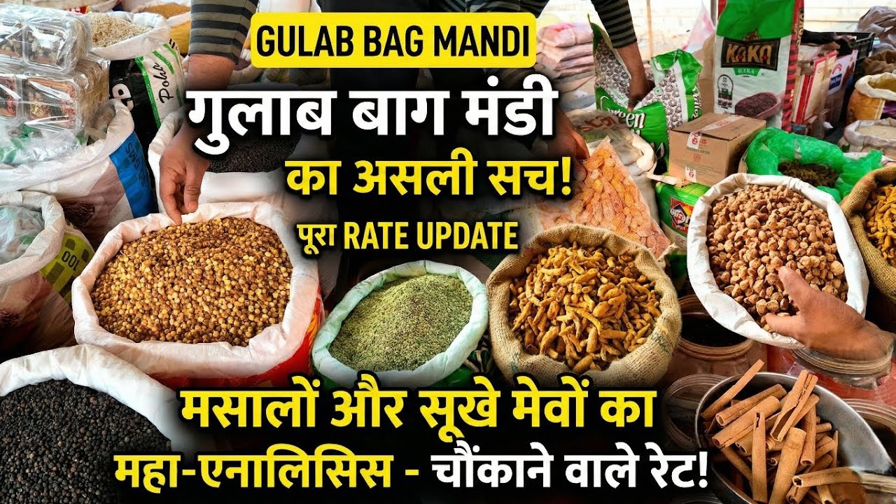 गुलाब बाग मंडी का असली सच! 🤯 Spices & Dry Fruits Wholesale Rate | Gulab Bagh Mandi Tour 2026