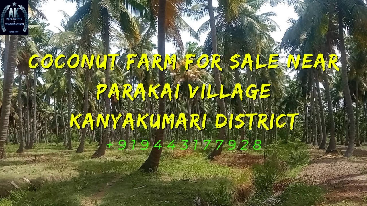 Coconut farm for sale in Parakai village, Kanyakumari district. Contact: +919443177928.