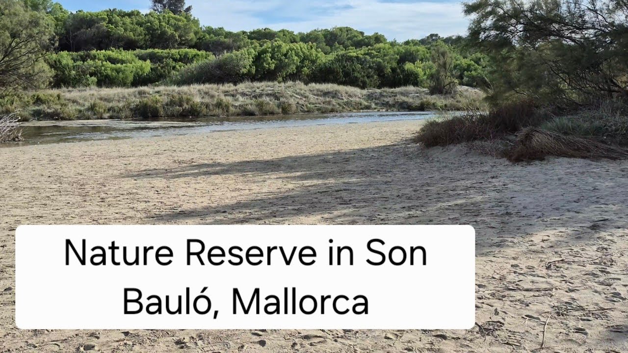 Parc natural de la Peninsula de Llevant, next to Hotel Son Baulo, Mallorca. Nature reserve.