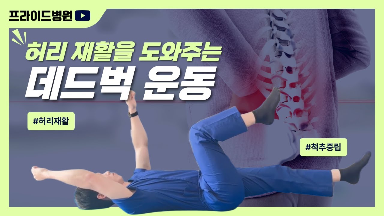 허리 재활 필수 코어운동｜데드벅 운동 제대로 하는 법