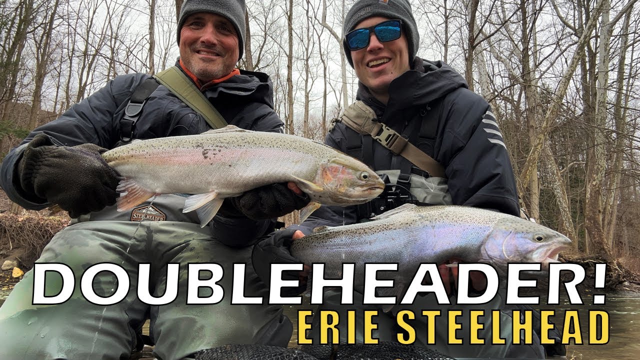 Doubleheader! - Erie Steelhead