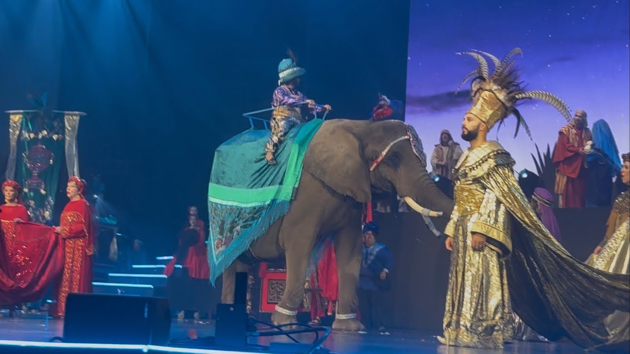 2025 Christmas Spectacular 