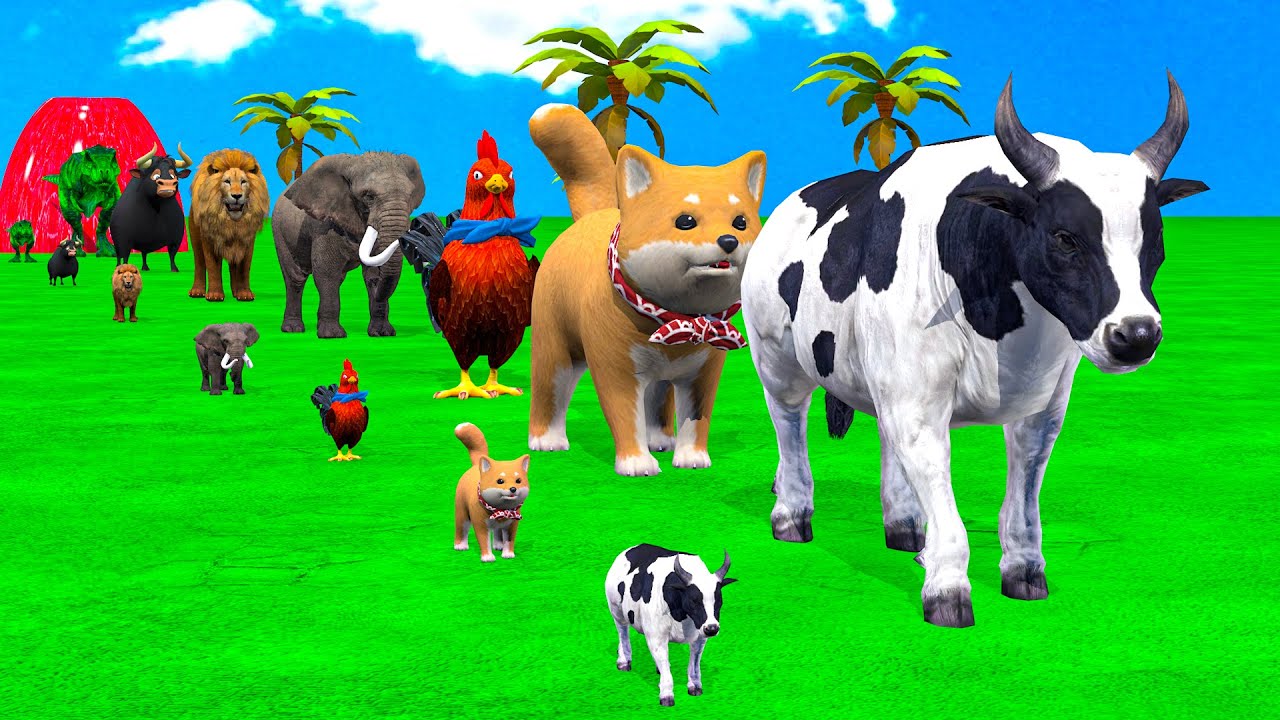 Long Slide Game With Cow Elephant Gorilla Hippopotamus Tiger - 3d Animal Game - Funny 3d Animals
