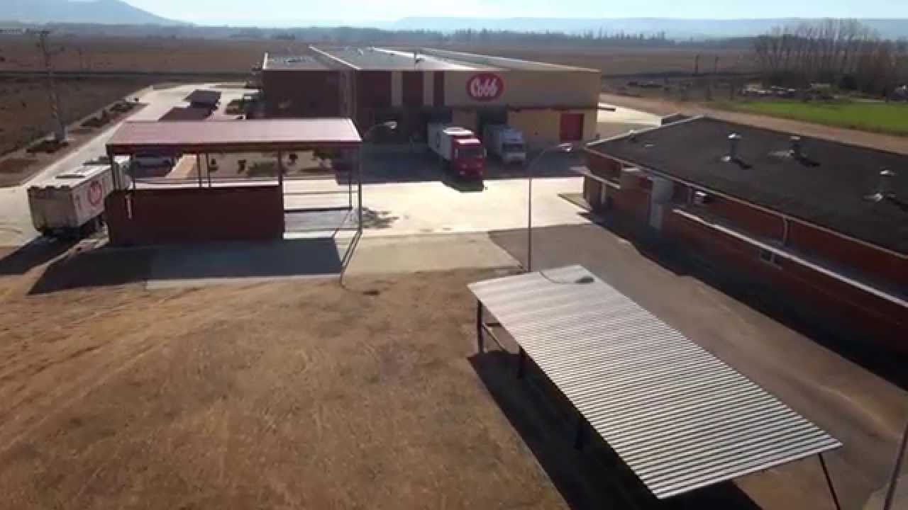 PLANTA DE INCUBACION  COBB ESPAÑOLA