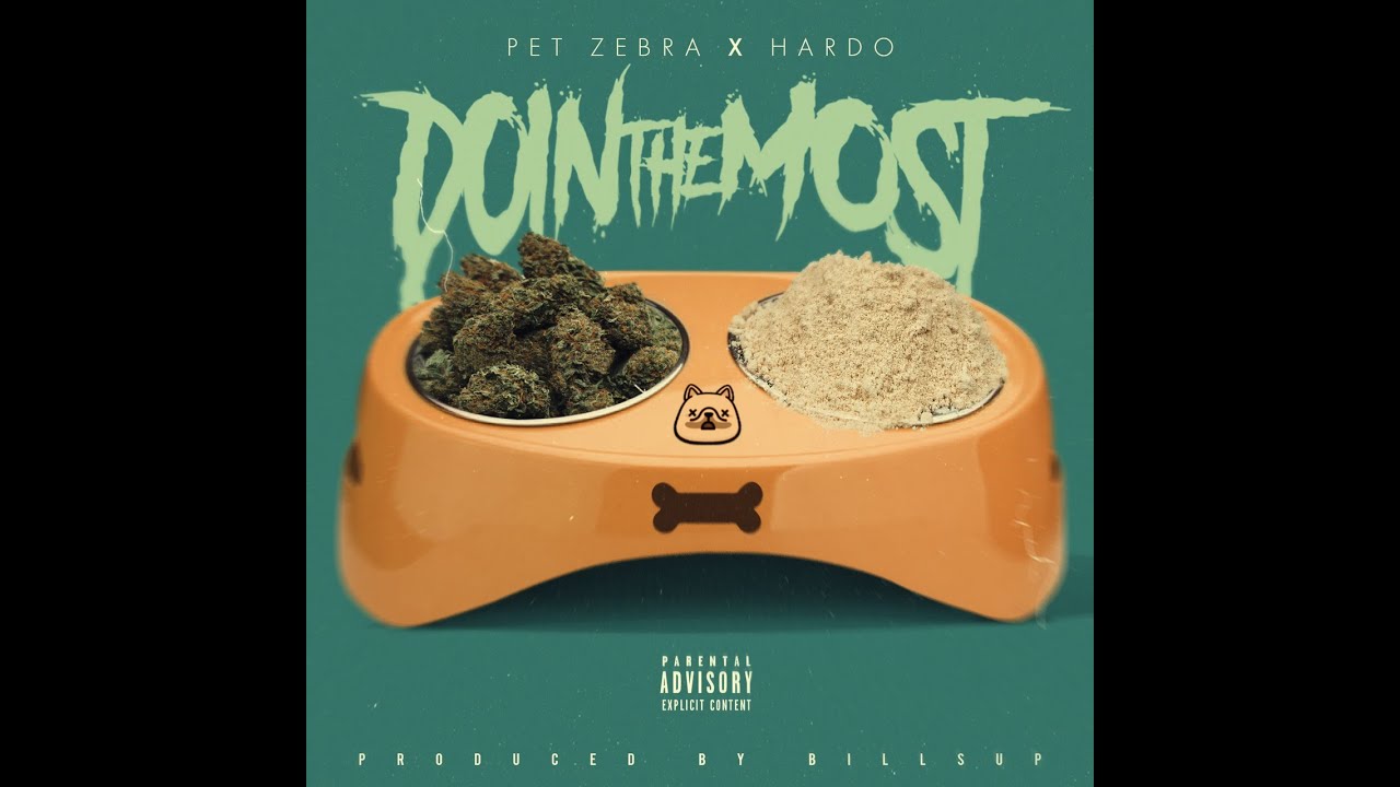 Pet Zebra - Doin The Most  (Feat. Hardo) (Official Video)