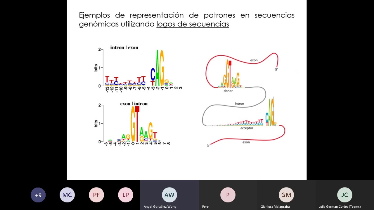 ALINEAMIENTO MULTIPLE DE SECUENCIAS. APLICACIONES (parte II)
