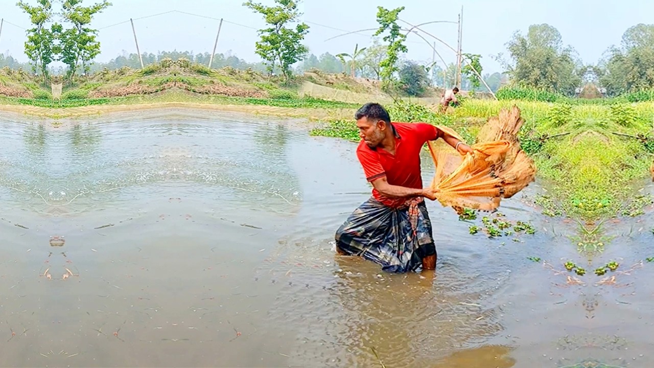 Amazing Cast Net Throws - Best Village Net Fishing - Traditional Cast Net Fishing