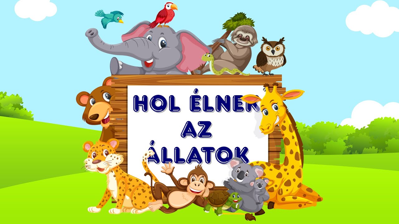 Hol élnek az állatok? Fedezd fel az állatok világát! Állatos mese gyerekeknek  🌍🐾🐻🦅