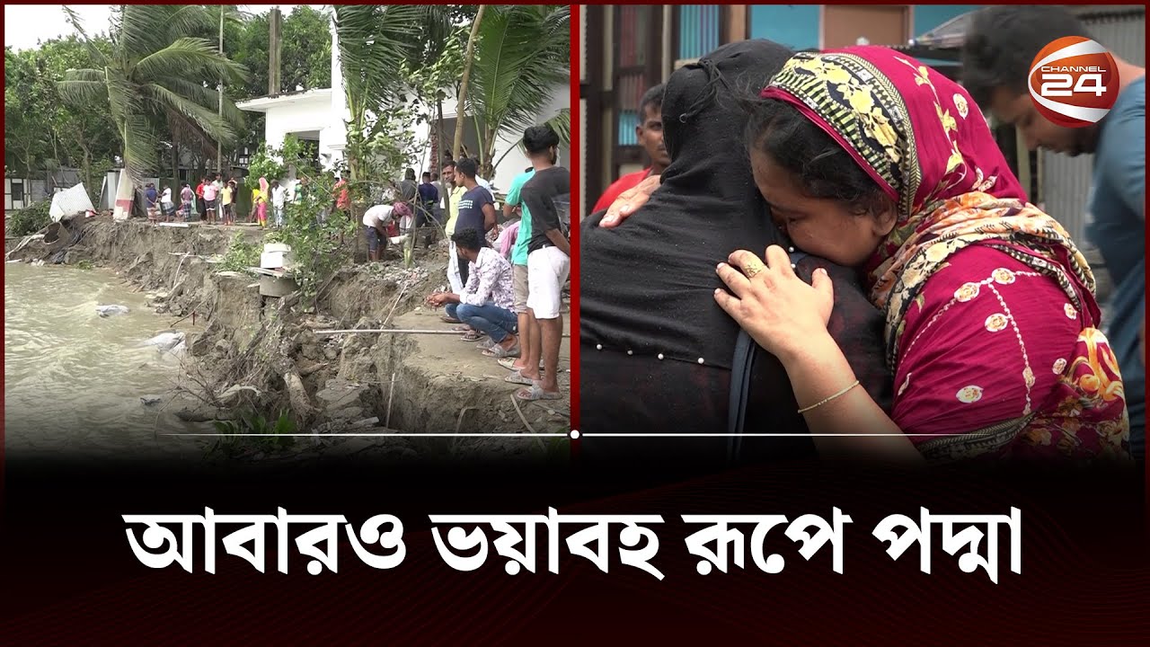 পদ্মার বুকে বিলীন স্বপ্ন | Padma Erosion | Padma River | Channel 24