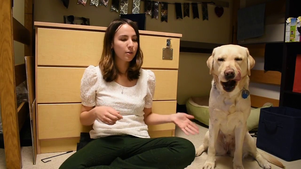 College Dorm Tour--Guide Dog Style