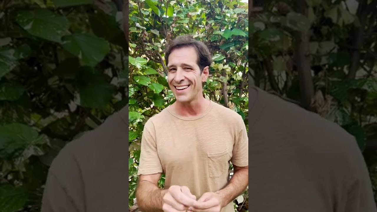 Oahu limits Airbnbs and vacation rentals in a big way