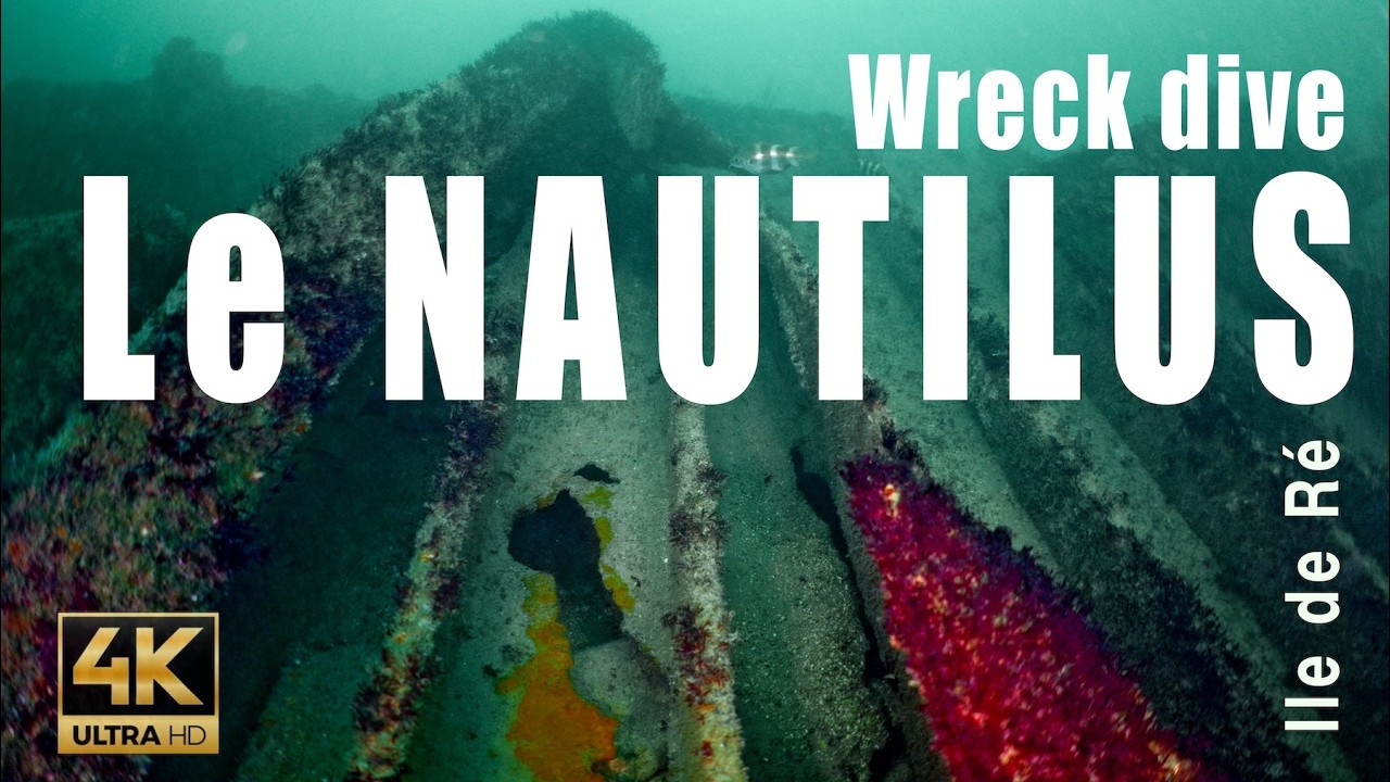 8K Underwater Footage: The Nautilus Shipwreck (1988) – Atlantic France Dive Exploration