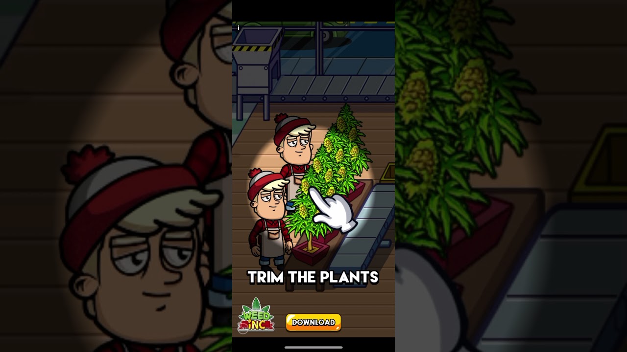 Bounce and collect balls