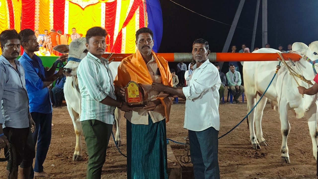 మాచవరం పాలపళ్ళు 15వ VVSR BULLS రఘునాథపాలెం గ్రామం సూర్యాపేట జిల్లా