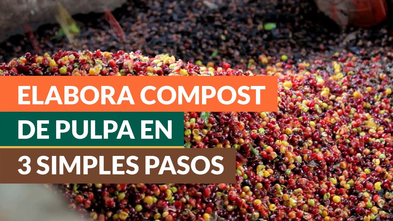 ¿Cómo elaborar compost de pulpa de café?