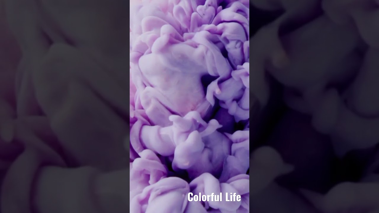 #color #colors #colorfullife #smoke