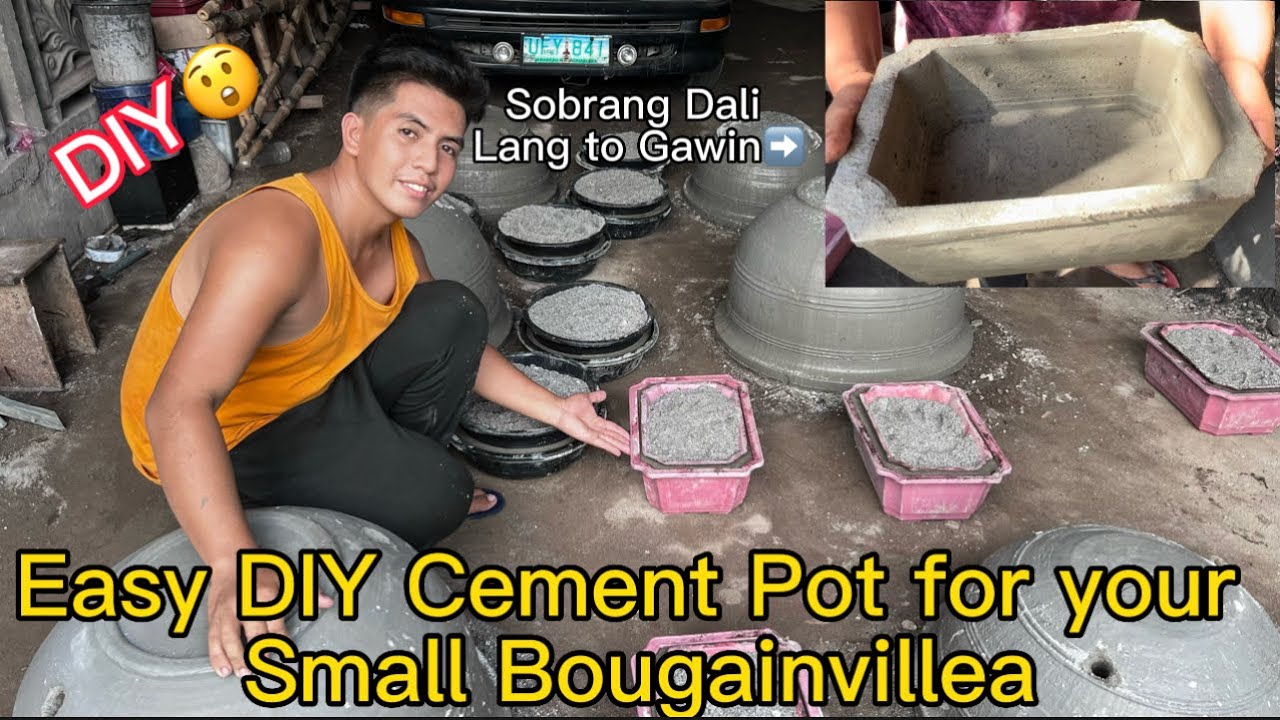 Easy DIY Cement Pot for your Small Bougainvillea