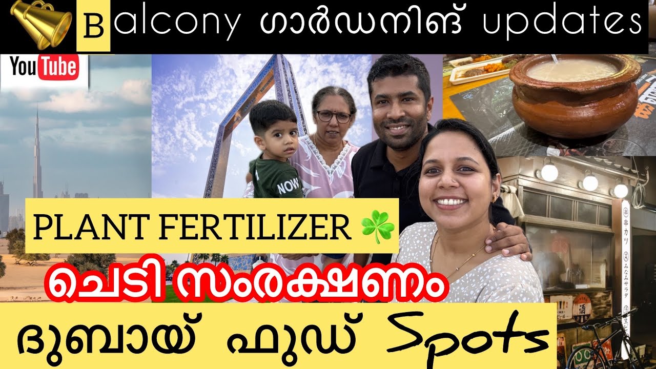 ☘️ Dubai Food Spots + Indoor Plant Care Tips | Fertilizer Guide for Healthy Houseplants 🌿🍽️