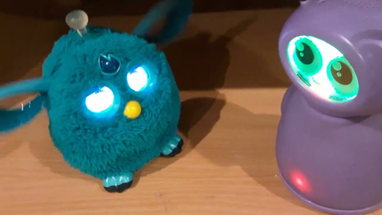 Bee-Toh the Furby Connect and Willa the Fijit Friend interact!