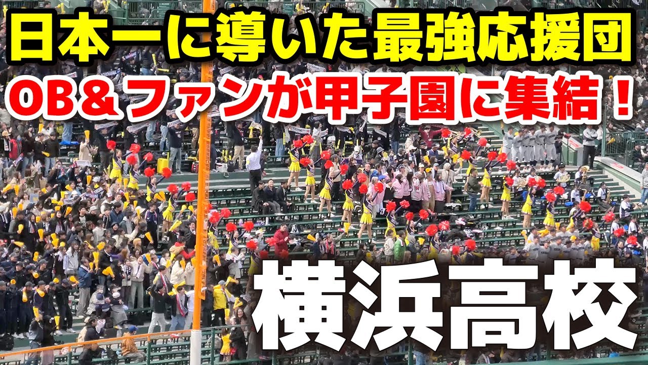 横浜高校 日本一に導いた最強応援団！OB＆ファンが甲子園で魅せた“魂の応援”　 応援団  【選抜高校野球　決勝】　 アルプス　高校野球応援　甲子園応援 チア  阪神甲子園球場　野球応援