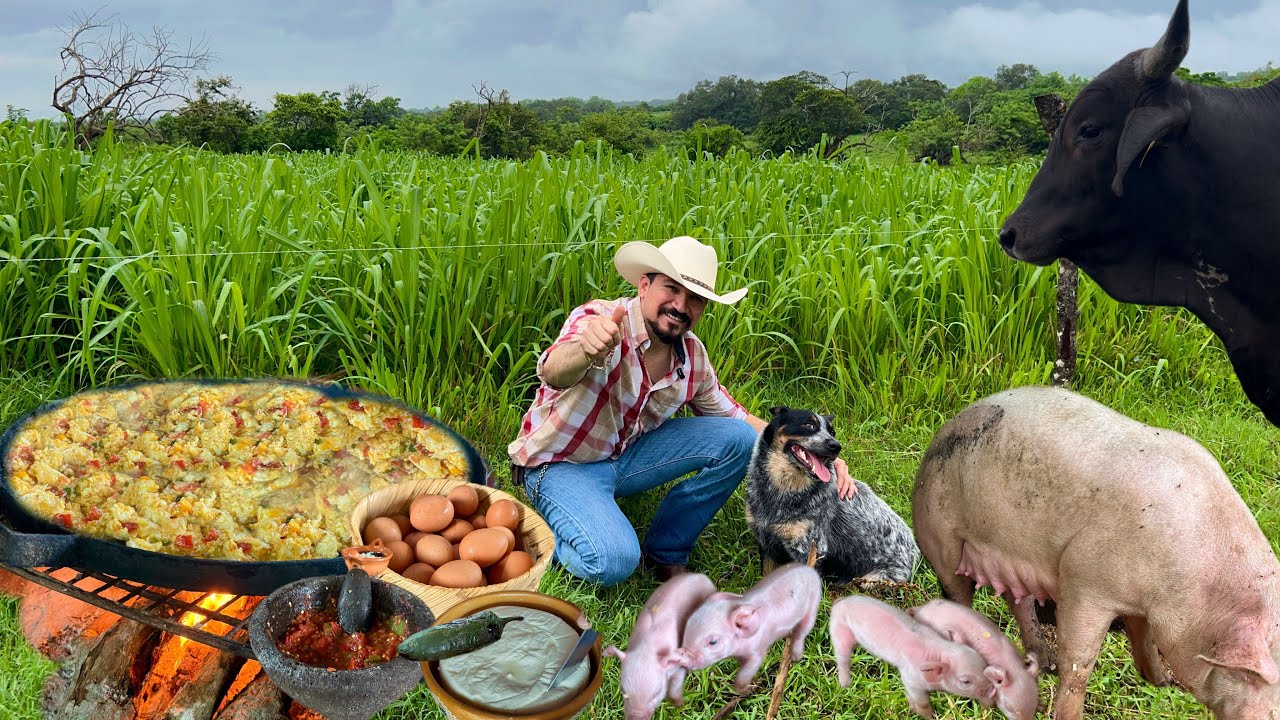 DESAYUNO RANCHERO 🍳🪺🔥🌶️ || parió la PUERCA 🐷🐷🐷🐷🙏🏻 #trending #viralvideo #desayuno