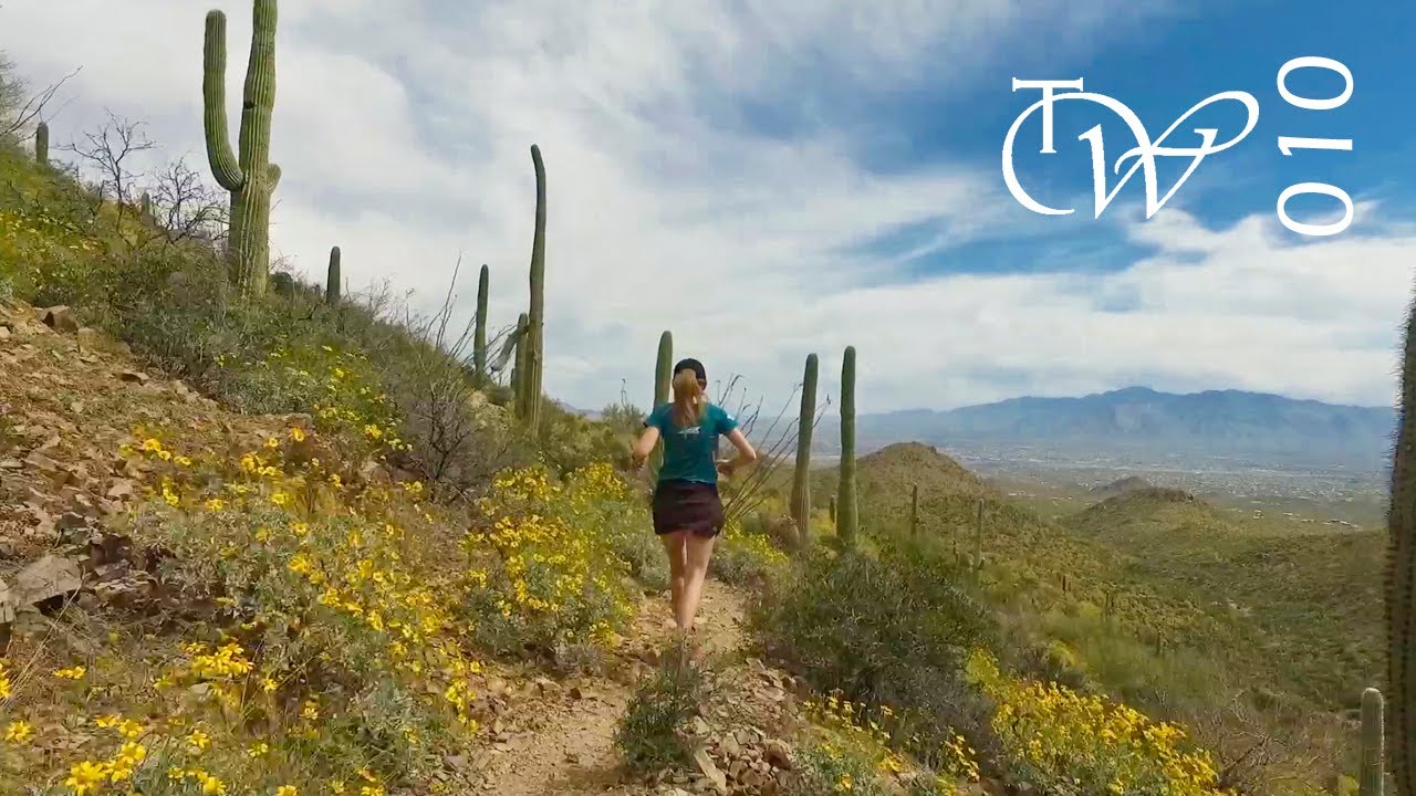 Tucson Trail Running: Wasson Peak via Sweetwater Trail