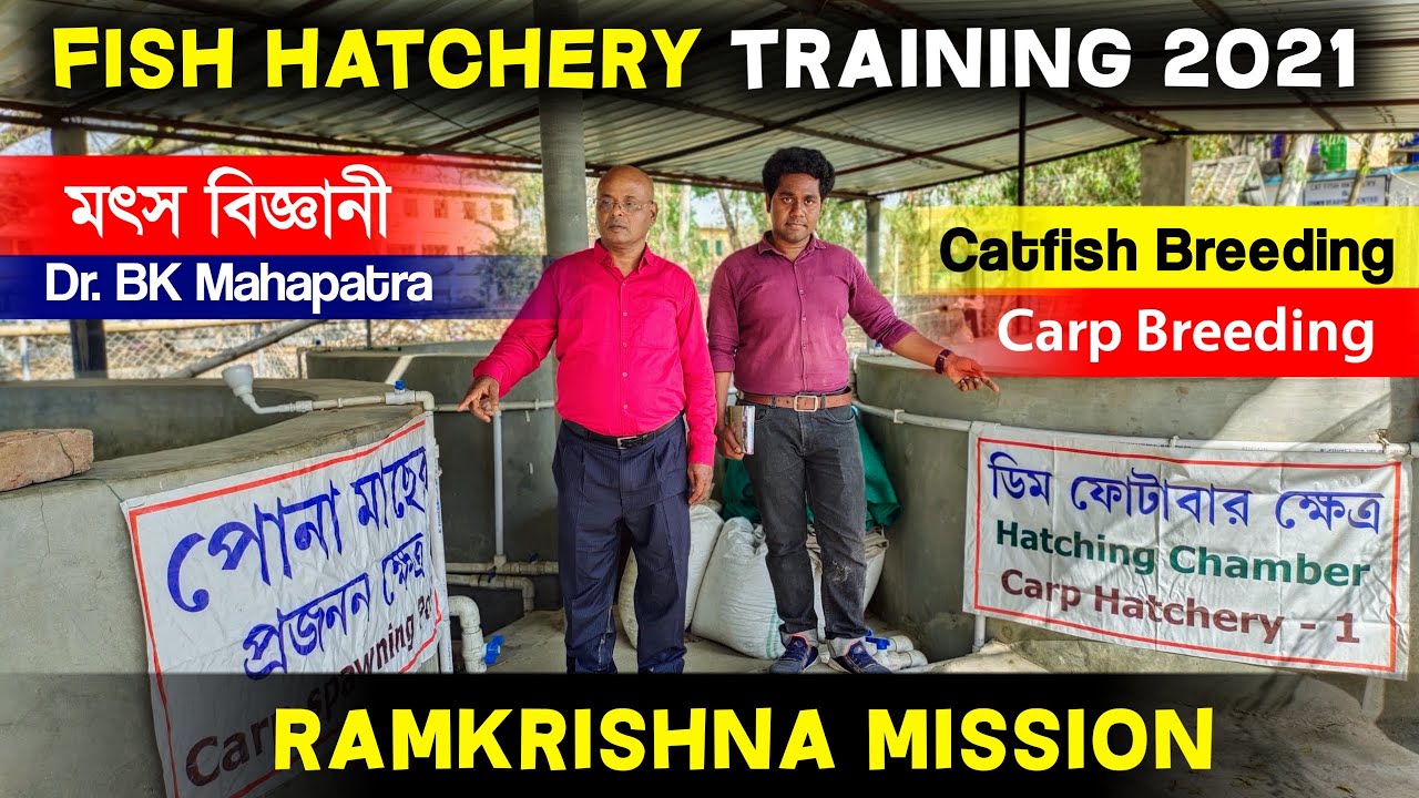মাত্র 25 হাজার টাকাতেই বানান মাছের হ্যাচারি | Ramkrishna Mission FISH BREEDING Training 2021|CATFISH