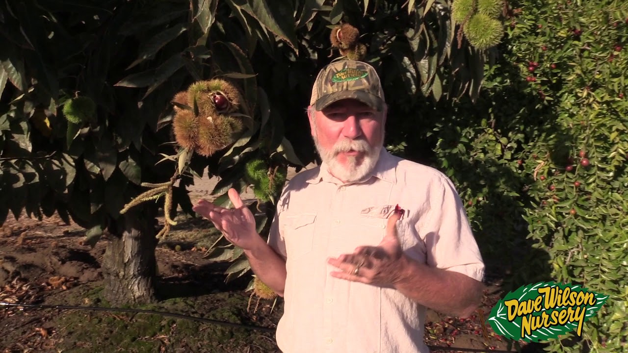 Fall Fruit Tour 2017
