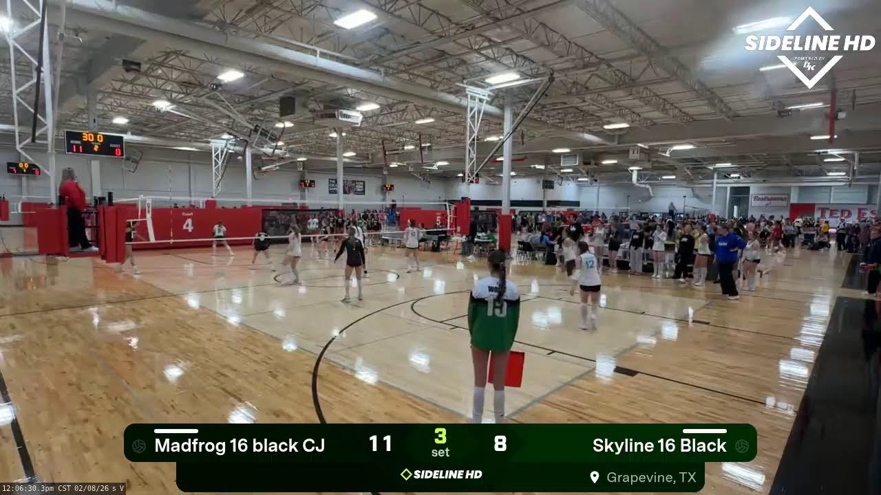 Skyline 16 Black vs. Madfrog 16 black CJ (2026.02.08)