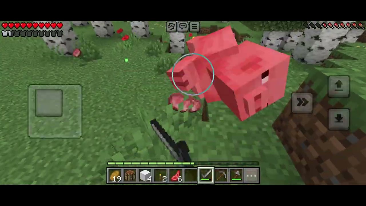 Probando la versión de prueba de Minecraft (Parte 2)