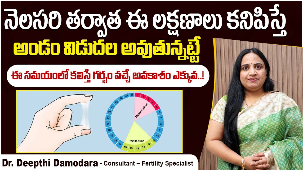 అండం విడుదల లక్షణాలు || How to Calculate Ovulation Day in Telugu || Fertile Days || Oasis Fertility