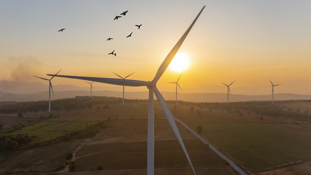 &lsquo;I was flabbergasted&rsquo;: UK government attempts to &lsquo;bury&rsquo; the cost of green subsidies