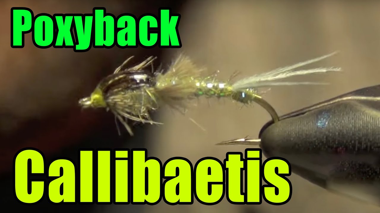 Poxyback Callibaetis — лучшая мушка для вязания поденки в озёрном тихе — схема вязания мушек Майк...