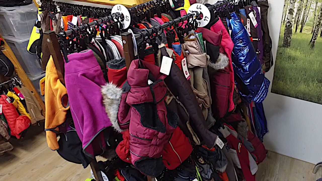 Ein kleiner Rundgang durch unser Ladengesch&auml;ft in Holzgerlingen