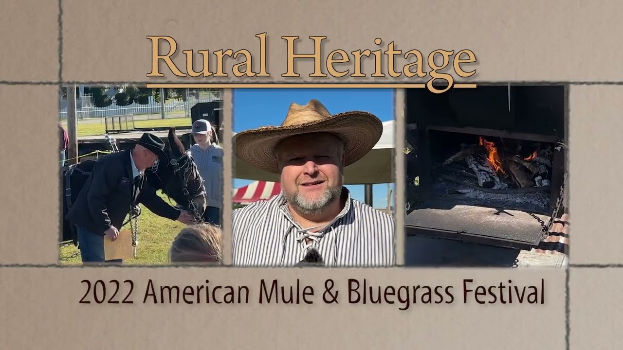 2022 American Mule and Bluegrass Festival