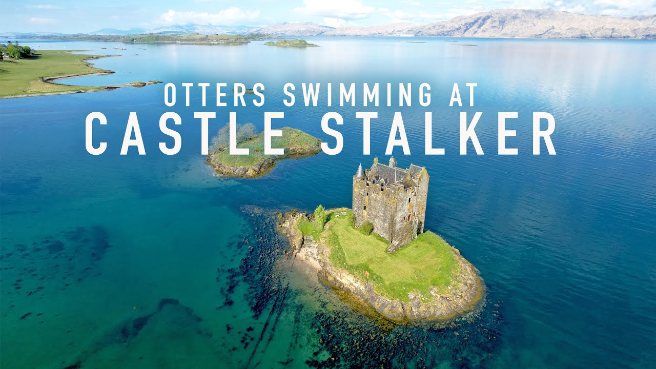 Castle Stalker with Otters!!! - North Coast 500 Scotland by Drone